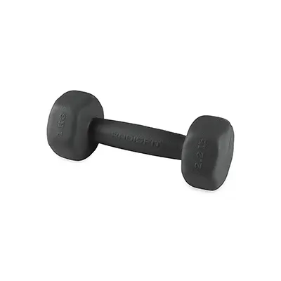 4088a6a0-578a-4b7c-ad0a-6ee9f7d9bab4 دمبل بدنسازی ایروبیک بانوان تکی 1 کیلویی رادیس فیت | مشکی - Image 1