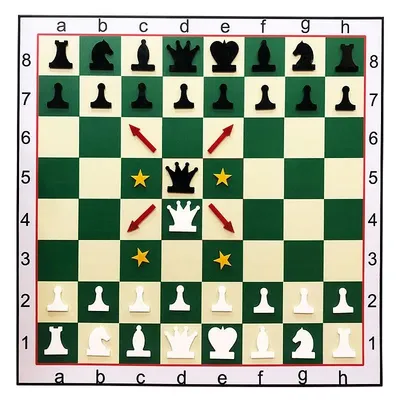 384a044efa1348ae98bf7bd10091ec1c-mmedium-1 تابلو آموزش شطرنج با مهره مغناطیسی | سفید/سبز - Image 1