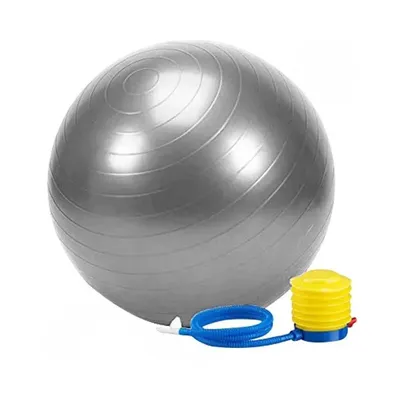5e26b7601f0c4f21a4c231f87ffa9730-mmedium توپ بدنسازی سوییسی جیمبال فیزیوبال 65 سانتیمتری DZH | طوسی - Image 1