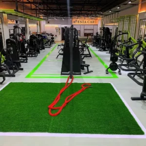 باشگاه اوستا (avesta gym)
