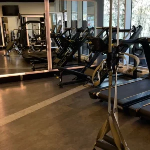 باشگاه وی آی پی فیت (vip fit gym)