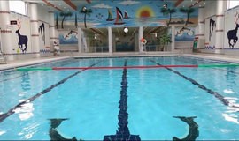 استخر میلاد بیرجند