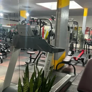 باشگاه ویستا در همدان