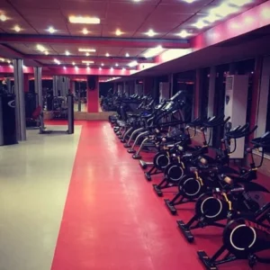 آکادمی سورنا