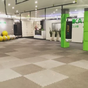 باشگاه ورزشی پانیکا